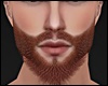 Beard Ginger Kila MH