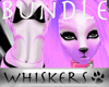 Whiskers :Tabby V3 FBund