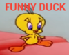 X 》 fUNNY DUCK