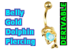 Dolphin Gold Gem