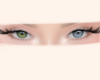 ๓ Green/Blue M 2T