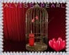 :A: Valentine Bird Cage