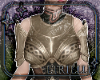 Aegis Armlets v2