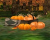 BASKET OF PUMKINS
