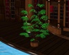 IL Abyss Plant
