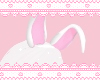 bunny earz <3