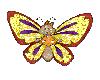 CUTE animated butterfly