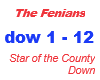 The Fenians /Star of the