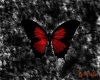 Light papillion red 