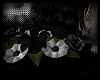 ₪ flowers in my hood