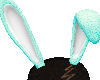 Easter Bunny Ears Teal M