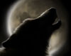 HOWLING WOLF