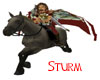 Sturm Ride Animated LG
