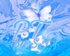 PTZ skirt