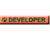 Orange Developer Tag