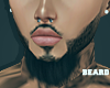 PB.Luxury Beard