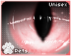 [Pets] Kissa | eyes v2