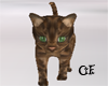 GF-Cuddle Calico Kitty