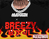Breezy Shirt x Bowl
