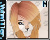 .v. Toast Hair 2