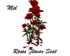 Roses Seat  Flowers Chat
