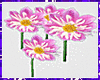 Purple DJ Flowers