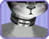 |Black Meow Collar!|