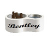 bentley dog bowl