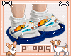 KIDS Slides Universe