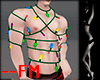 -->FM Xmas Lights Top