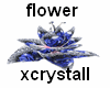 (cry) flowers