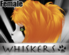 Whiskers ~ Fidget Hair V