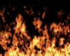 Fire Animated