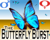 Butterflies BRB