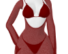 Sexy Sheer Red Dress