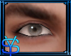 YS Grey Eyes