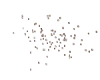 🌈RU_Rainbow Lanterns