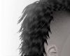 mullet