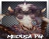 MEDUSA -Pet-