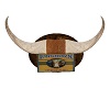 Texas Longhorns