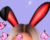 Bunny Red Ears