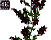 4K Red Flower Vine