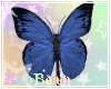 B| Nose Butterfly BlueV2