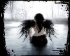 dark angel 1