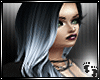 *K Dark Ash Blue-Bing