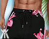YA.Tropical Short