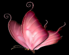 pink butterfly 3 decal