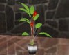 Plant - Carbuncle