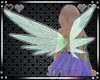 {B} Fairy Wings