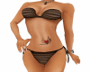 Beach Sexy Brown Bikini